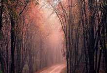 开云体育登录-帕尔梅拉斯核心球员体能管理，世俱杯冲刺关键因素