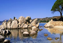 开云体育登录-黑海惊雷！卢多戈雷茨5球屠城撕裂历史迷雾，东欧铁骑的欧冠狂想曲