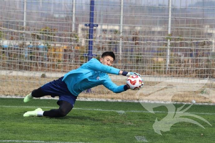 包含深圳主场胜上海申花,备战欧洲杯预选赛的词条 包含深圳主场胜上海申花,备战欧洲杯预选赛的词条