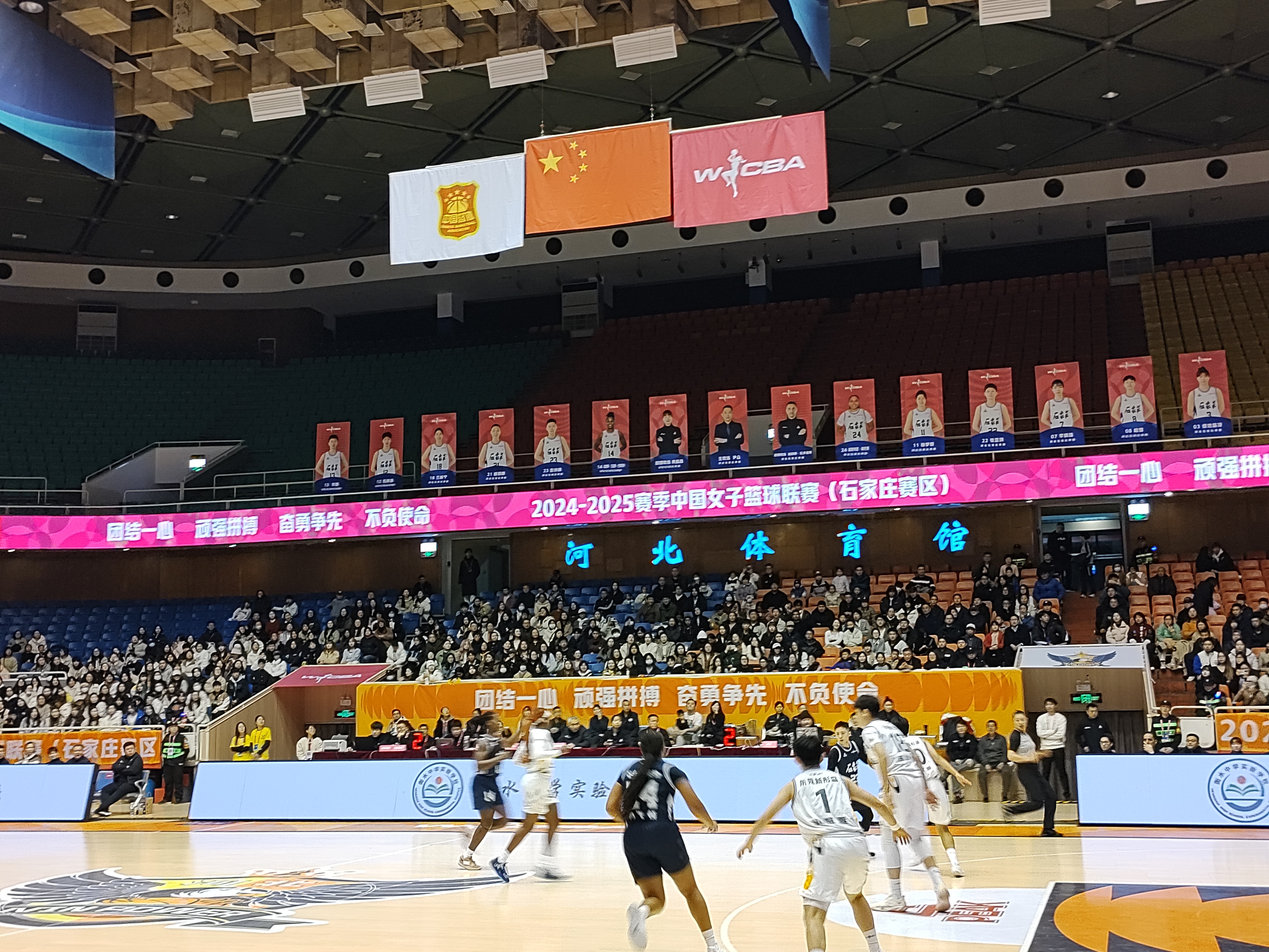 关于比赛精彩纷呈，球迷欢呼雀跃的信息