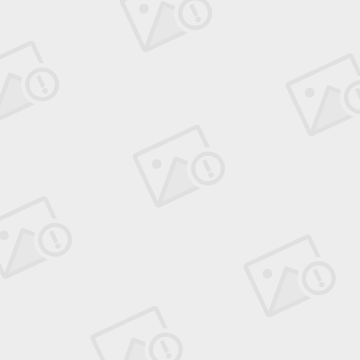 开云官网-诺里奇表现低迷，联赛不胜持续