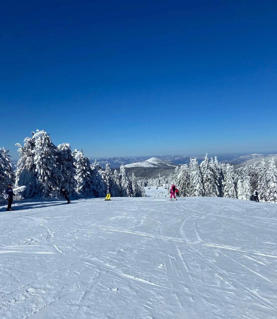 塞尔维亚滑雪选手再次夺冠,创造奇迹 塞尔维亚滑雪选手再次夺冠,创造奇迹
