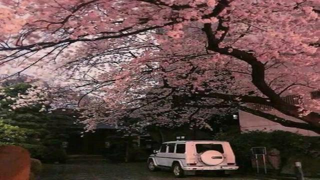 关于天主教车祸大胜，取得两连胜的信息